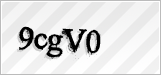 CAPTCHA security code