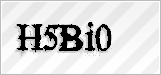 CAPTCHA security code