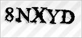 CAPTCHA security code
