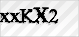 CAPTCHA security code