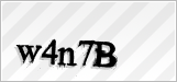 CAPTCHA security code