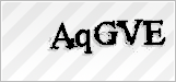 CAPTCHA security code