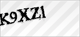 CAPTCHA security code
